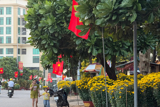 “Sống chậm” ở Lý Sơn