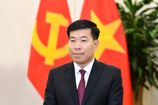 Chủ động, tích cực triển khai Nghị quyết Đại hội lần thứ XIV của Đảng trong công tác đối ngoại