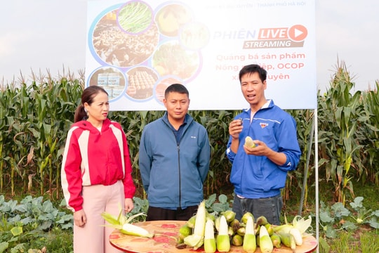 Cơ hội mới cho nông nghiệp Đại Xuyên