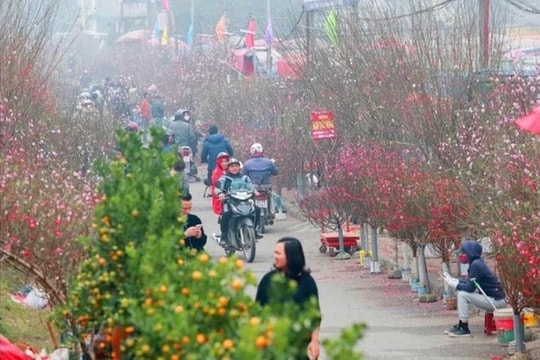 Hà Nội ít mưa, ấm áp đến Tết Nguyên đán