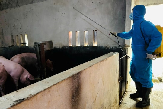 Đoài Phương tổng vệ sinh, tiêu độc khử trùng môi trường