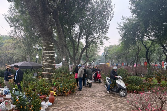 Chợ hoa Tết rộn ràng sắc Xuân, người dân Thủ đô háo hức mua sắm