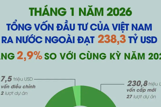 Tháng 1/2026: Đầu tư của Việt Nam ra nước ngoài đạt 238,3 triệu USD
