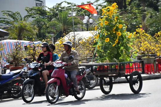 Mưu sinh theo mùa hoa Tết
