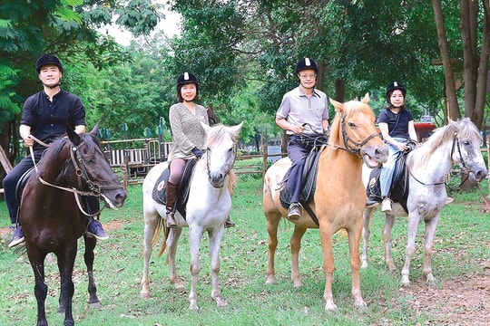 Nhịp vó ngựa giữa lòng Hà Nội xanh