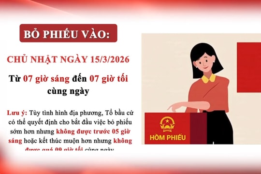 Một số quy định nguyên tắc, trình tự bỏ phiếu bầu cử