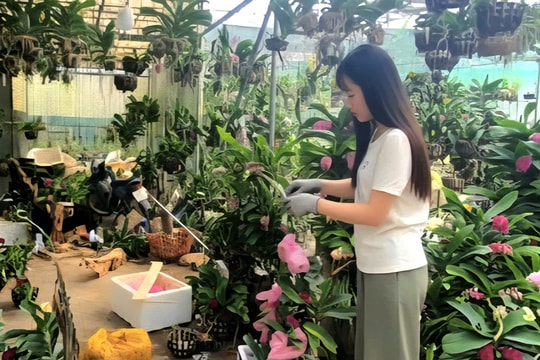 An Khánh xây dựng nông thôn mới gắn với nâng cao đời sống người dân