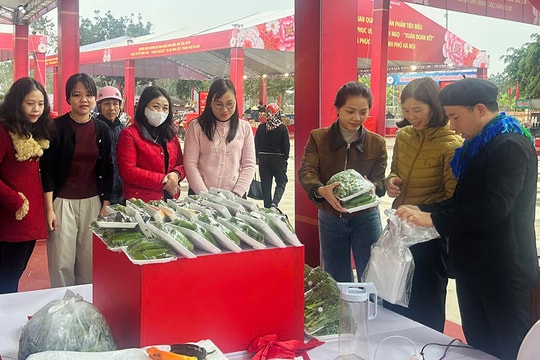 Sôi động chợ xuân ngoại thành