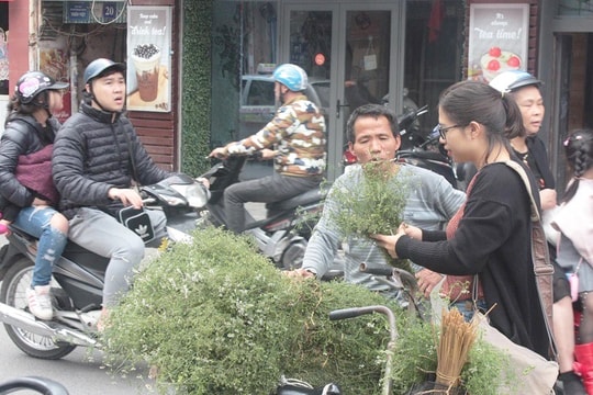 Nồi mùi già tỏa hương