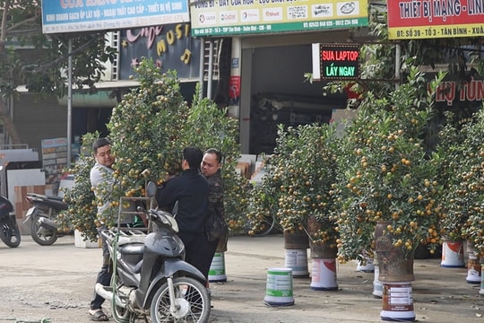 Hà Nội nắng ấm vào trưa và chiều, mưa, rét về đêm và sáng