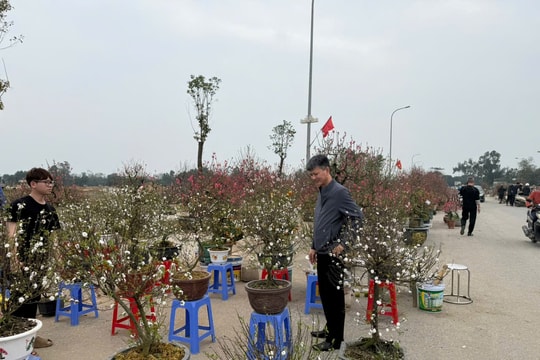 Chợ hoa Xuân - nhịp cầu đưa Tết đến gần dân