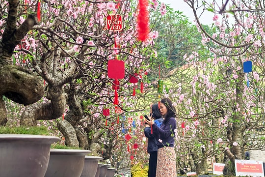 Hà Nội sáng sớm và đêm có mưa nhỏ, trời rét