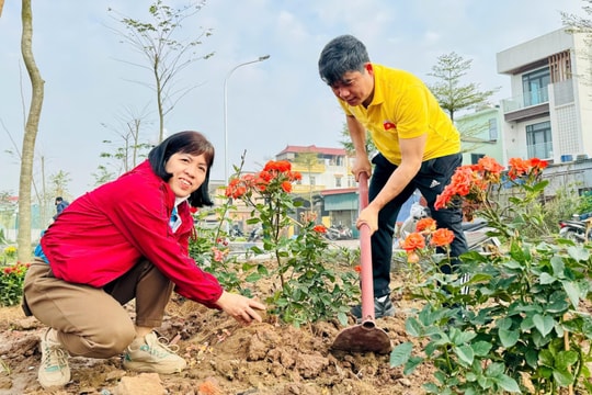 Nam Phù vệ sinh môi trường, vun trồng sắc xuân