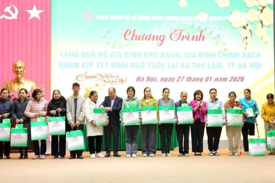 Thư Lâm chăm lo Tết cho người dân