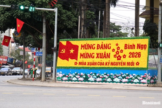 Rộn ràng sắc Xuân ngoại thành Hà Nội