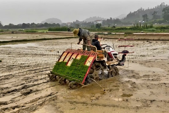 Trung Giã vui xuân không quên sản xuất