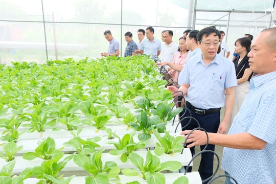 Năm 2026, Hà Nội phấn đấu giảm 10% số hộ cận nghèo