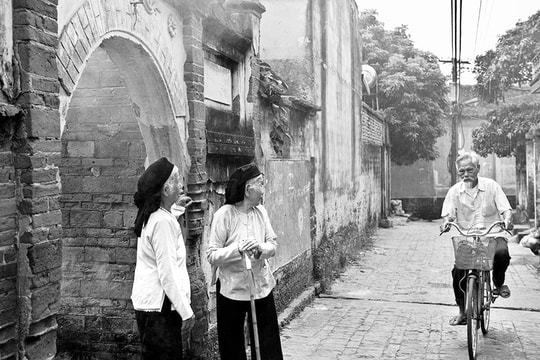 Tết này về quê nhé!