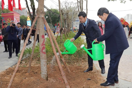 Xã Kim Anh phấn đấu trồng mới 6.000 cây xanh dịp xuân Bính Ngọ 2026