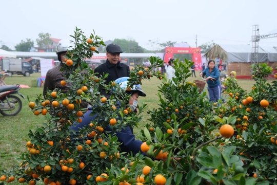 Khai mạc chợ hoa, chợ Tết xã Kim Anh 2026 – nét đẹp văn hóa đầu Xuân