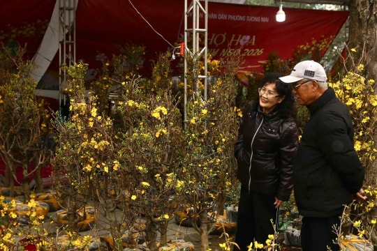 Phường Tương Mai: Chợ hoa Tết tấp nập dịp cận Tết
