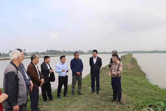 Lãnh đạo xã Phú Xuyên kiểm tra công tác sản xuất vụ Xuân và chuẩn bị đón Tết Nguyên đán Bính Ngọ