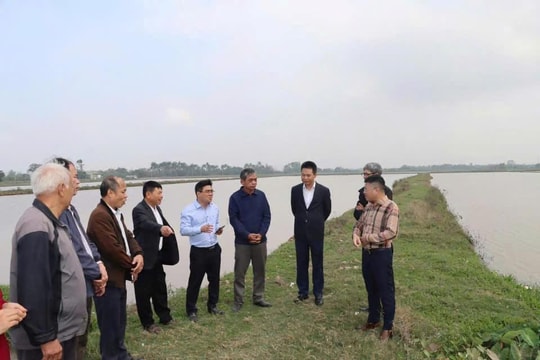 Lãnh đạo xã Phú Xuyên kiểm tra công tác sản xuất vụ xuân và chuẩn bị đón Tết Nguyên đán Bính Ngọ 2026