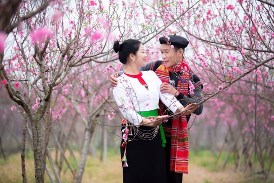 Xuân mới trên quê hương Suối Hai