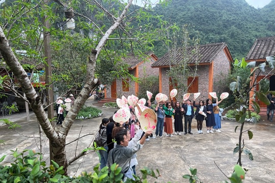 Những người tự viết “bản đồ du lịch” làm giàu cho quê hương