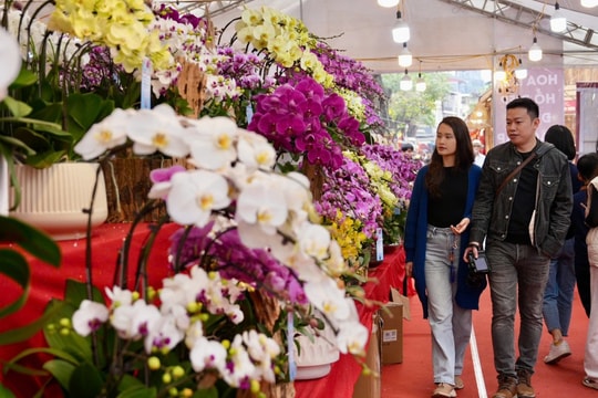Chợ hoa Xuân Phố cổ - điểm hẹn văn hóa truyền thống của Hà Nội