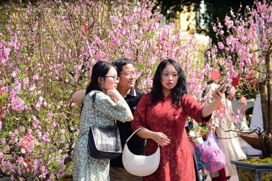 Không gian hoa xuân Lý Thái Tổ, điểm check-in mới dịp Tết
