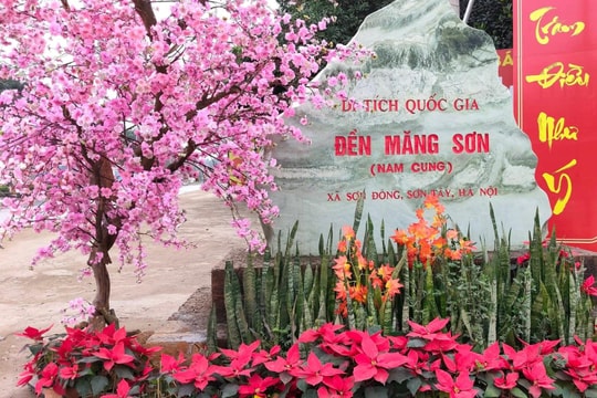 Ngoại thành rực rỡ sắc xuân đón chào năm mới Bính Ngọ 2026