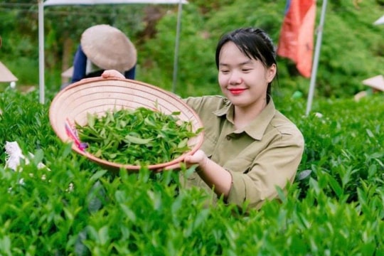 Những người trẻ Hà Nội làm giàu từ đặc sản quê