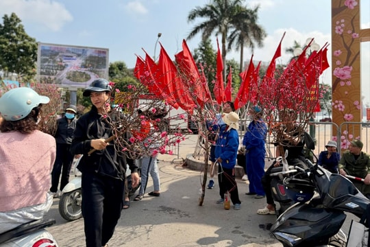 Thời gian ngưng đọng trên những cánh đào