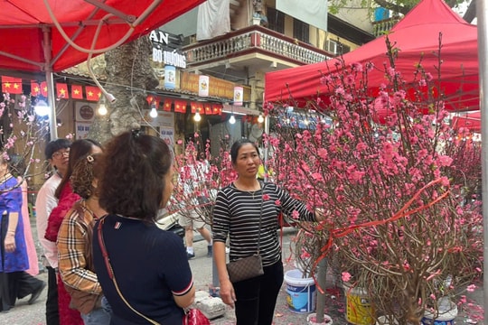 Không khí sắm Tết nhộn nhịp tại Hà Nội những ngày giáp Tết