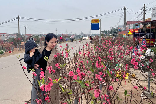 Người dân tấp nập mua sắm ngày 29 Tết, trái cây ngũ quả hút hàng