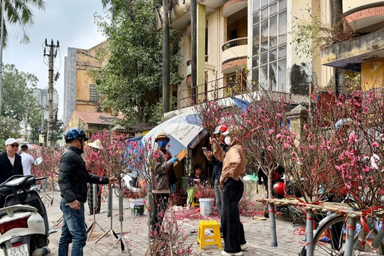 Không xảy ra “sốt giá” trong ngày 29 Tết Bính Ngọ 2026