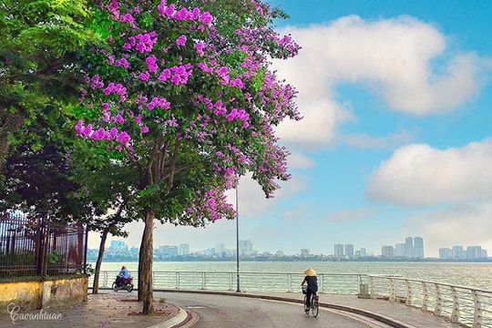 Tây Hồ: Khơi thông "điểm nghẽn" để bứt phá