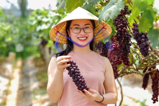 Thư Lâm quyết tâm xây dựng nông nghiệp xanh, sinh thái