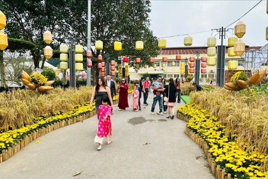 Hà Nội có mưa rải rác, trời chuyển rét