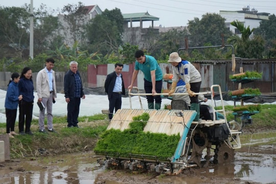 Sở Nông nghiệp và Môi trường Hà Nội kiểm tra sản xuất vụ xuân tại xã Thư Lâm