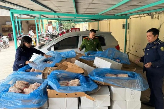 Tây Hồ quyết liệt bảo đảm an toàn thực phẩm dịp Tết