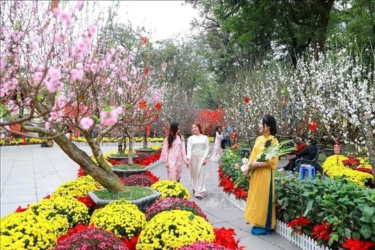 Tin tức đặc biệt trên ấn phẩm Hànộimới ngày 20-2-2026