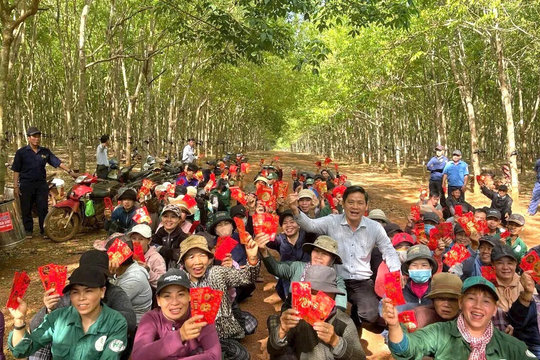 Công nhân Công ty CP Cao su Hòa Bình làm việc từ mùng 4 Tết, lãnh đạo trực tiếp động viên tại lô cao su