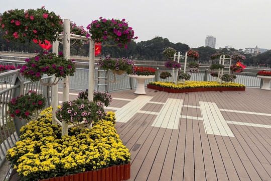 Công viên Nghĩa Đô - điểm đến hấp dẫn ngày xuân