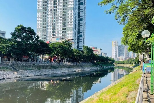 Khương Đình: Phát động Tết trồng cây vào sáng 22-2