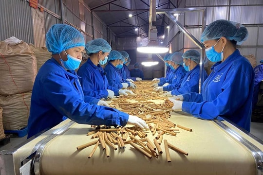 Nâng sức cạnh tranh hàng Việt trong chuỗi cung ứng toàn cầu