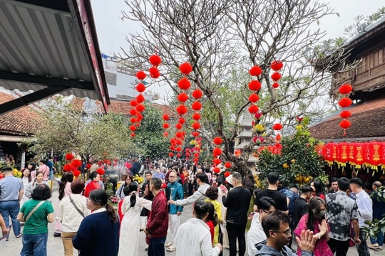 Tết Bính Ngọ 2026: Dấu ấn một mùa Xuân phục vụ, lan tỏa niềm vui từ những điều thiết thực