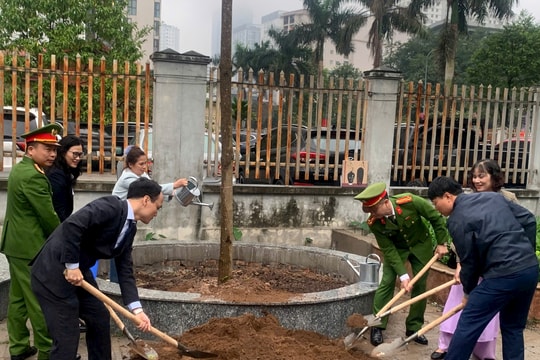 Yên Hòa kêu gọi người dân bảo vệ cây xanh như bảo vệ không gian sống của mình
