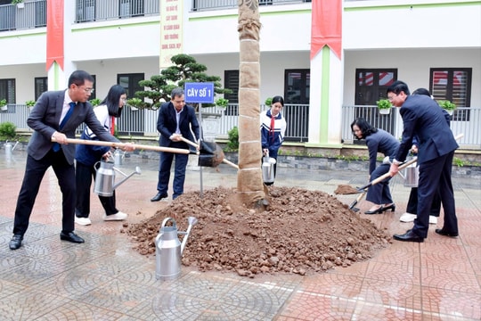 Phấn đấu trồng gần 15 nghìn cây xanh mới tại các trường học Thủ đô